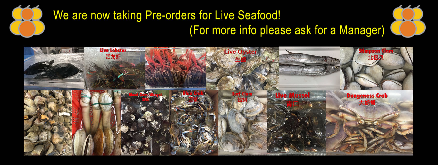 Taking Pre-orders for Live Seafood!
